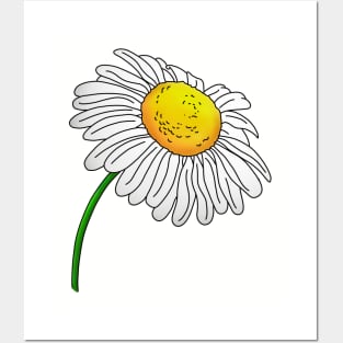 DAISY FLOWER | MORICK | Posters and Art